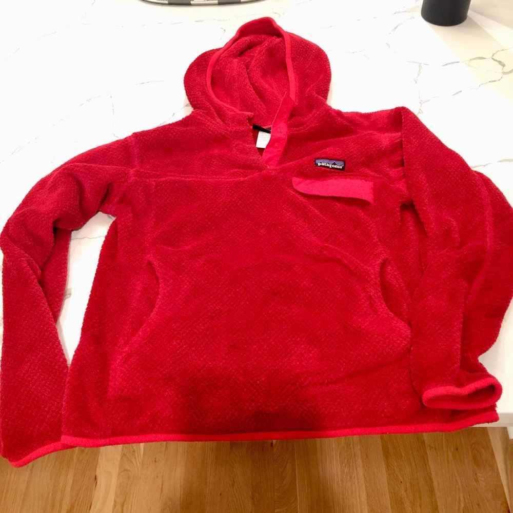 Patagonia Hooded Pullover